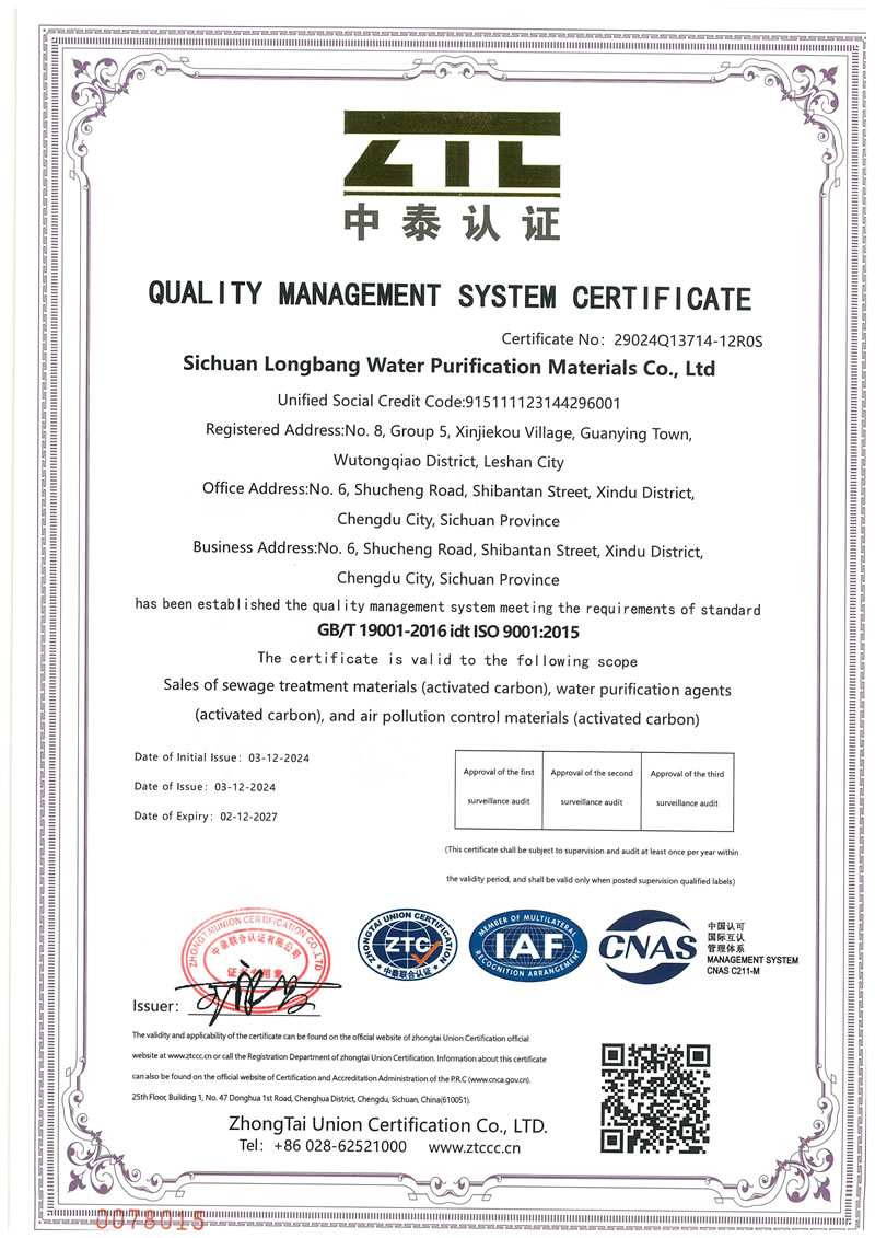 四川泷邦-ISO9001-证书-英文